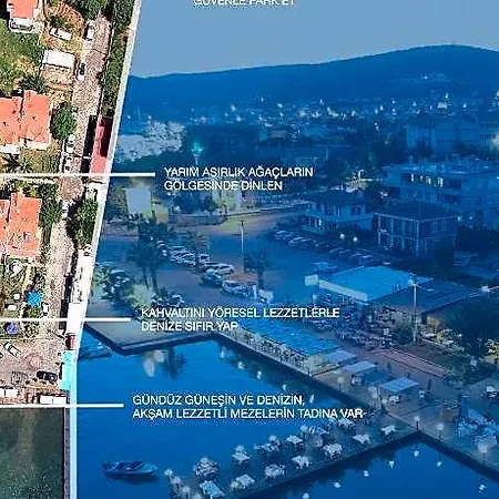 Deniz Ayvalı