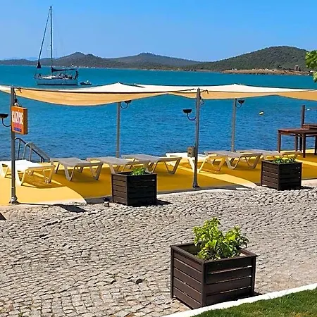 Deniz Ayvalı